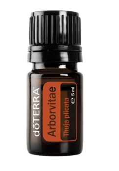ARBORVITAE - Lebensbaum Thuja plicata  5ml. Flasche