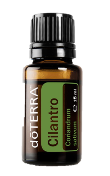 Cilantro (Korianderkraut) Coriandrum  sativum    15ml. Flasche