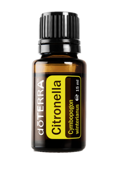 Citronella (Zitronella) Cymbopogon winterianus  15 ml. Flasche