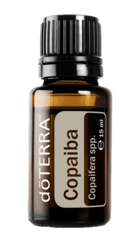 Copaiba (Kopaiva) Copaifera reticulata,  15 ml. Flasche