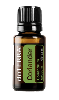 Coriander (Koriandersamen) Coriandrum sativum  15 ml. Flasche