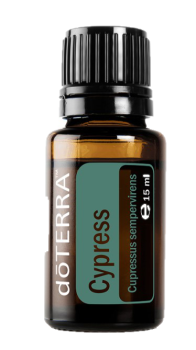 Cypress (Zypresse) Cupressus sempervirens & lusitanica  15 ml. Flasche