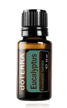Eucalyptus (Eukalyptus) Eukalyptus radiata  15 ml. Flasche