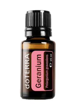 Geranium (Geranie) Pelargonium graveolens  15 ml. Flasche