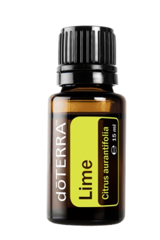 Lime (Limette) Citrus aurantifolia 15 ml. Flasche
