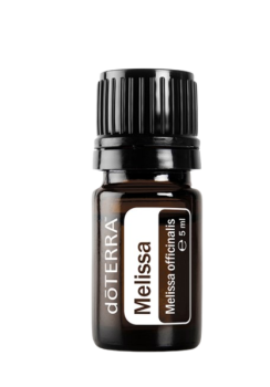 Melissa (Zitronenmelisse) Melissa officinalis 5 ml. Flasche