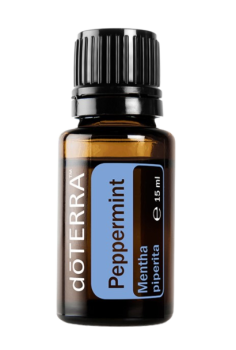 Peppermint (Pfefferminz) Mentha piperita 15 ml. Flasche
