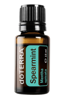 Spearmint (Grüne Minze) Mentha spicata  15 ml. Flasche