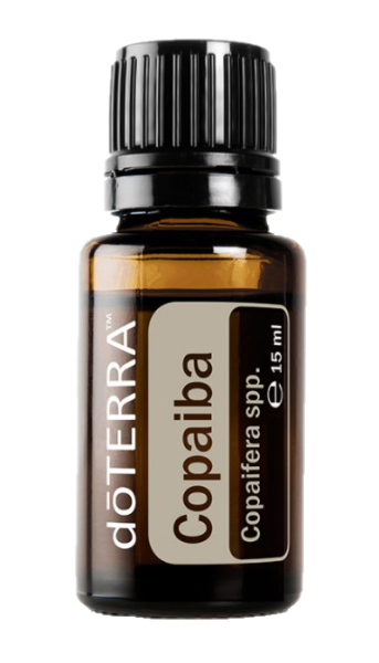 Copaiba (Kopaiva) Copaifera reticulata,  15 ml. Flasche