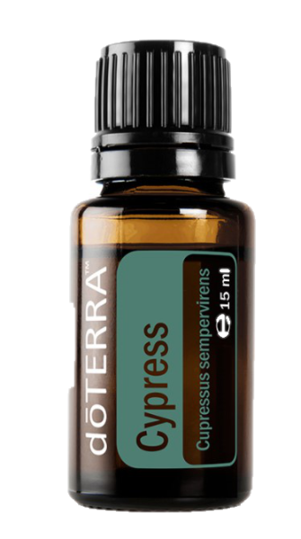 Cypress (Zypresse) Cupressus sempervirens & lusitanica  15 ml. Flasche