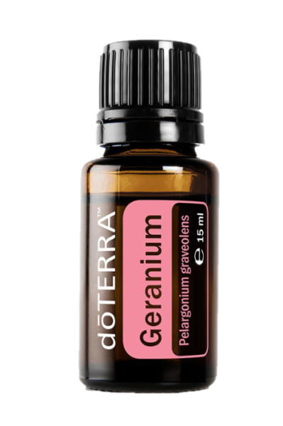 Geranium (Geranie) Pelargonium graveolens  15 ml. Flasche