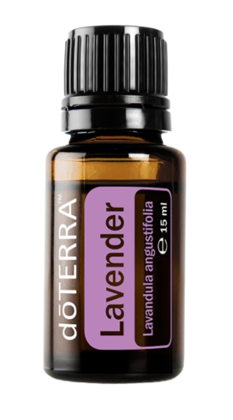 Lavender (Lavendel) Lavandula angustifolia 15 ml. Flasche